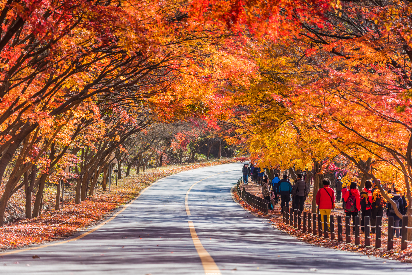 Tháp Namsan – biểu tượng tình yêu nhất định phải ghé thăm khi du lịch Hàn