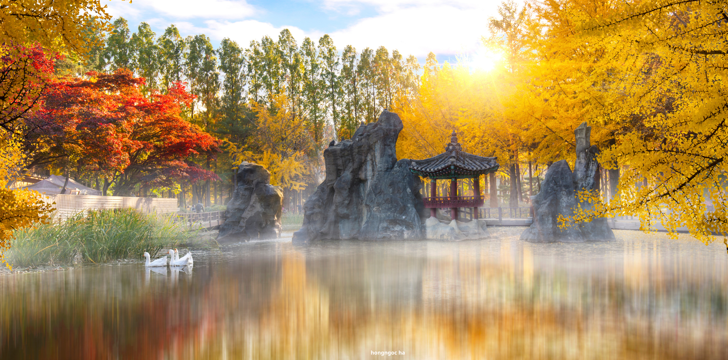 Tour Du Lịch Hàn Quốc